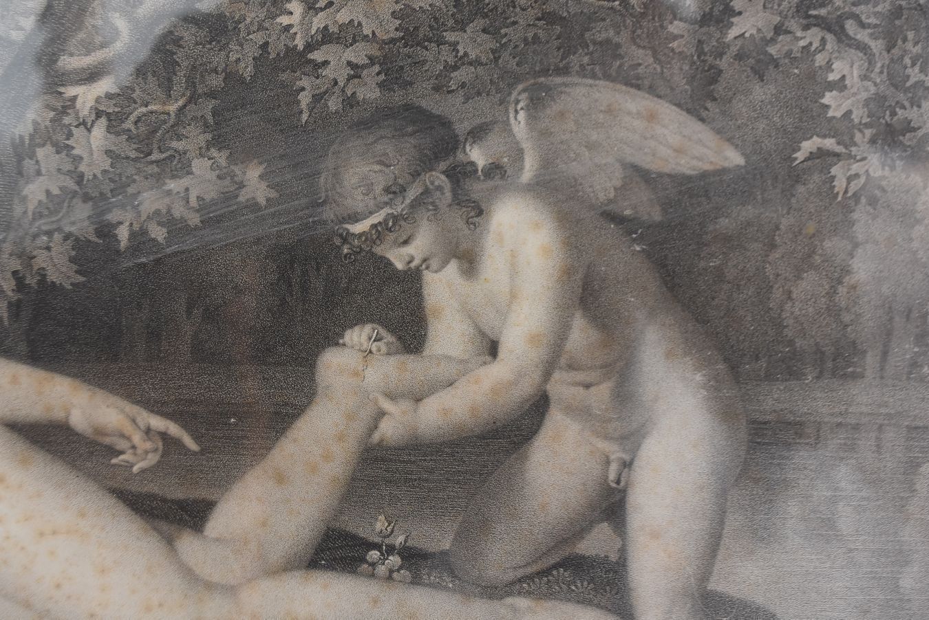 Young Olympia And Cupid Old Engraving Xi Xth Century photo Art