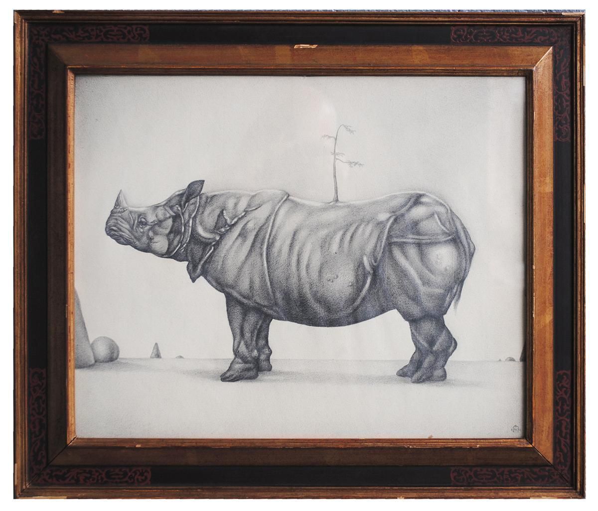 Animal Pencil Drawing On Framed Rhinoceros Paper