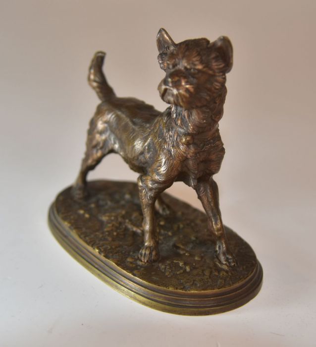 Companion Style Bronze Griffon Dog Medal P. J Mène Xi Xth Time photo for sale