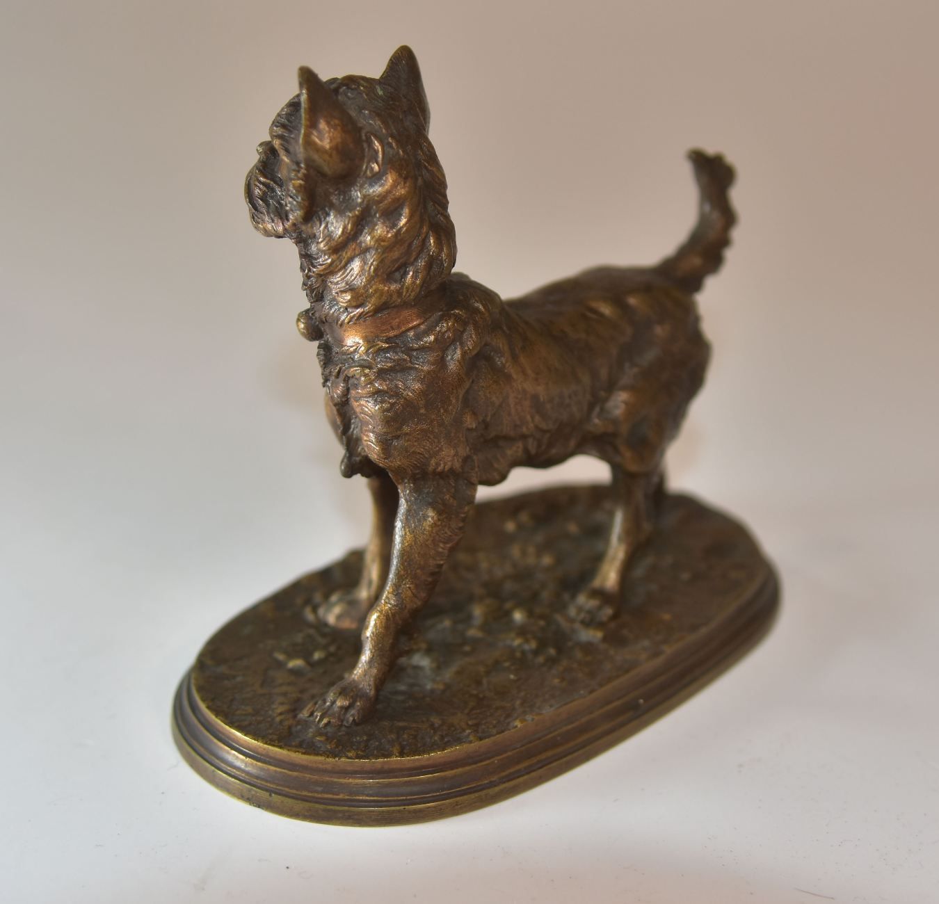 Companion Style Bronze Griffon Dog Medal P. J Mène Xi Xth Time photo Art