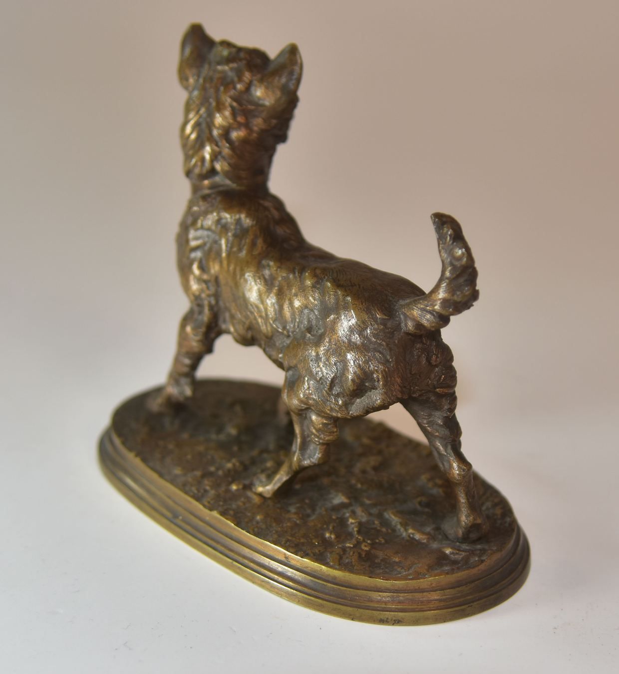 Companion Style Bronze Griffon Dog Medal P. J Mène Xi Xth Time photo vinterior