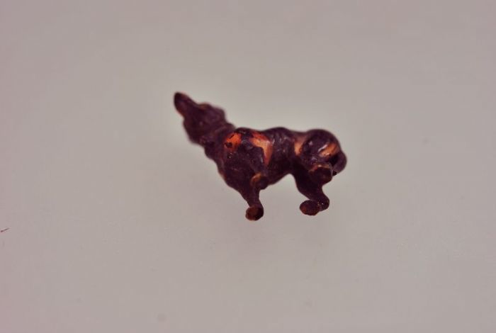 Vienna Bronze Old Nineteenth Young Dog photo Art