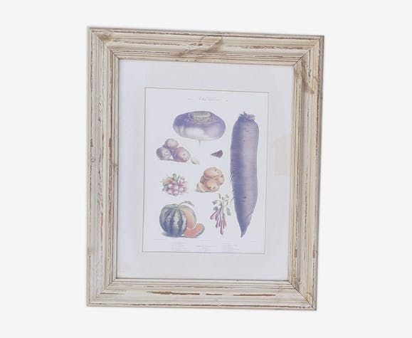 Framed Botanical Plate, Vegetables