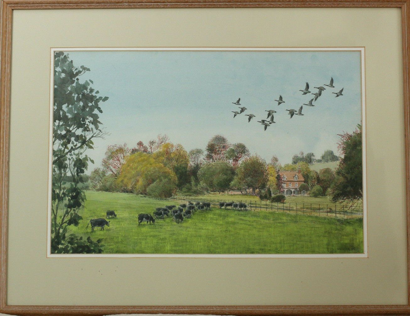 Ink And Watercolour By Desmond Walduck. "Cattle And Canadas At Goldingtons"