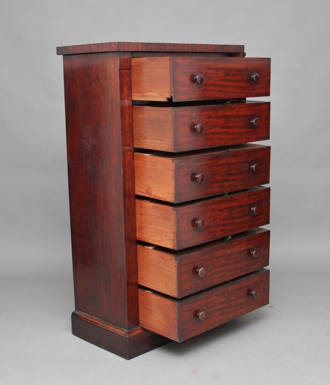 19th Century Mahogany Wellington Chest photo for sale