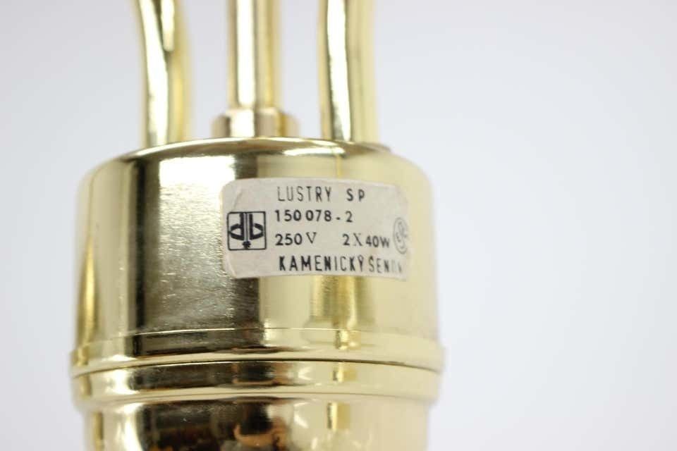 Mid Century Chandelier By Kamenicky Senov,1960‘S. photo Lighting