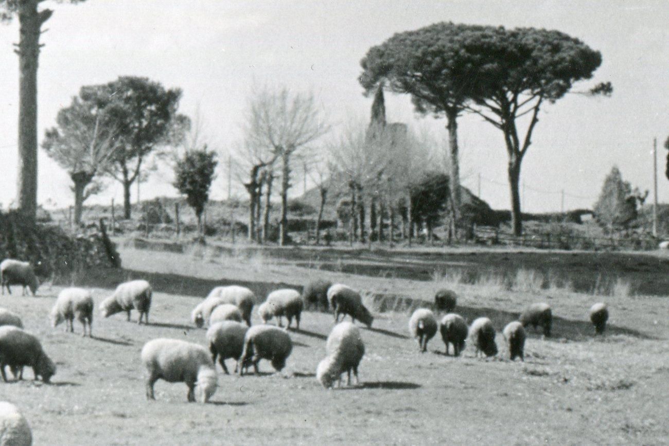 Erich Andres Rome Via Appia 1954 1954 photo furniture