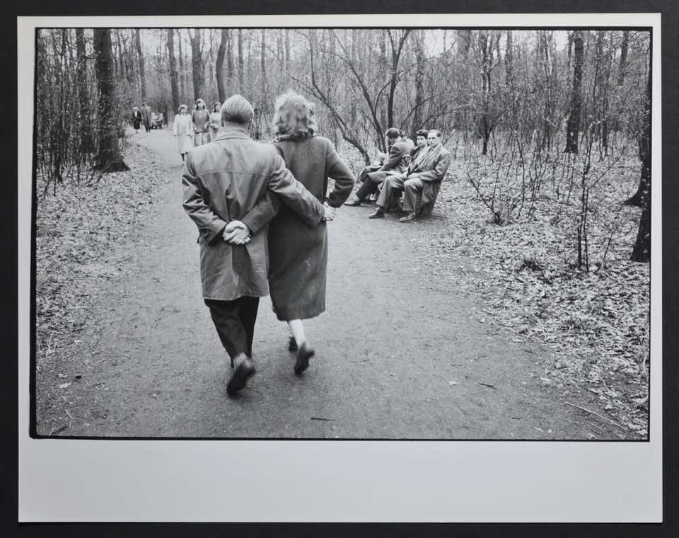 Rolf Gillhausen Early Spring In Cologne City Forest, Germany 1954. 1954
