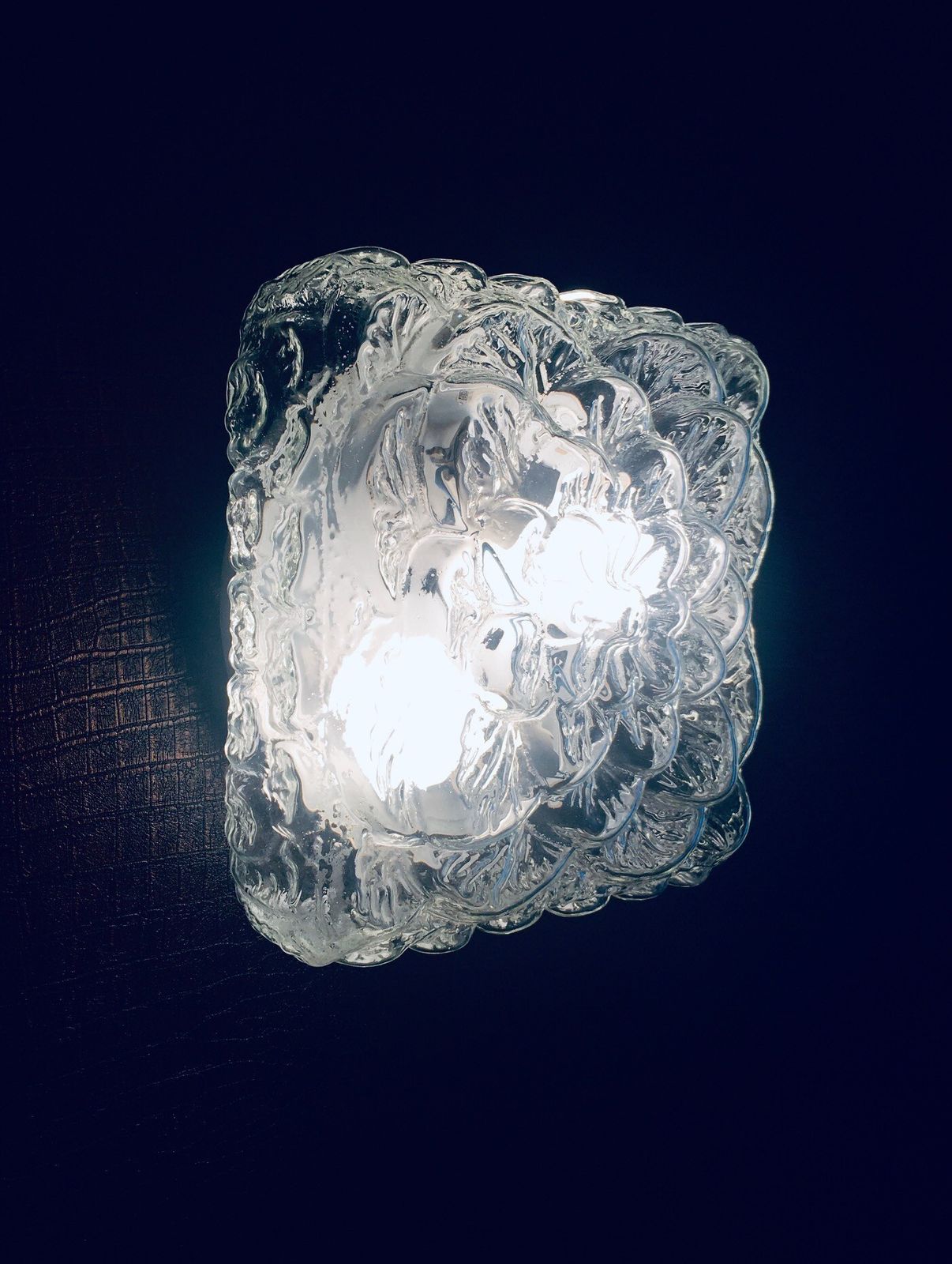 Verlichting Mid Century Modern Bloem  En Bladmotief Glazen Wandlamp Van Rzb Leuchten, Jaren 1960 photo