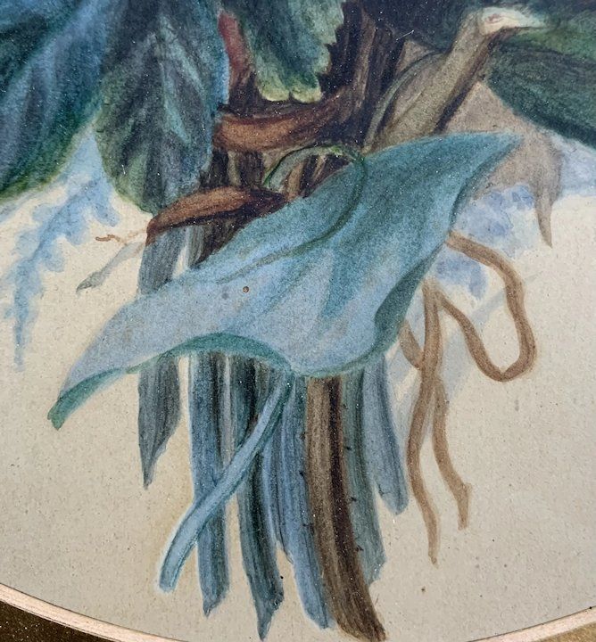 19th Century Watercolour Bunch Of Flowers photo vinterior