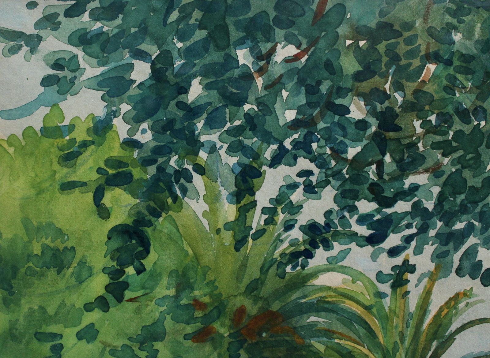A View Of The Park In Menton By Tony Minartz (Circa 1930s) photo Art