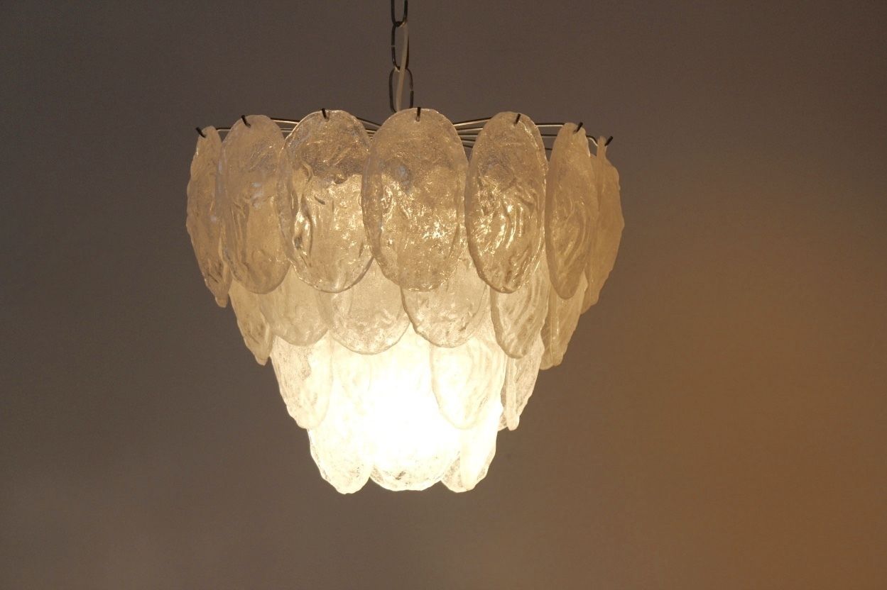 Murano Frosted Glass Leaves Chandelier From A.V. Mazzega, 1970s photo furniture