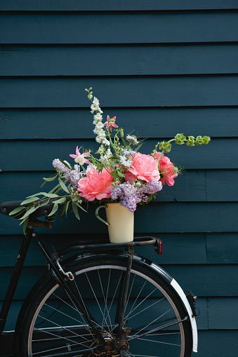 ' Flowers On A Bicycle ' Oversized C Type