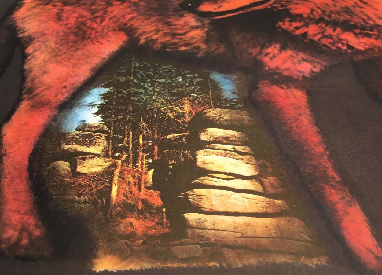 Original Film Poster, Brother Of The Wind, Martin Dyrynk, 1975, Genuine Czech Vintage Print photo furniture