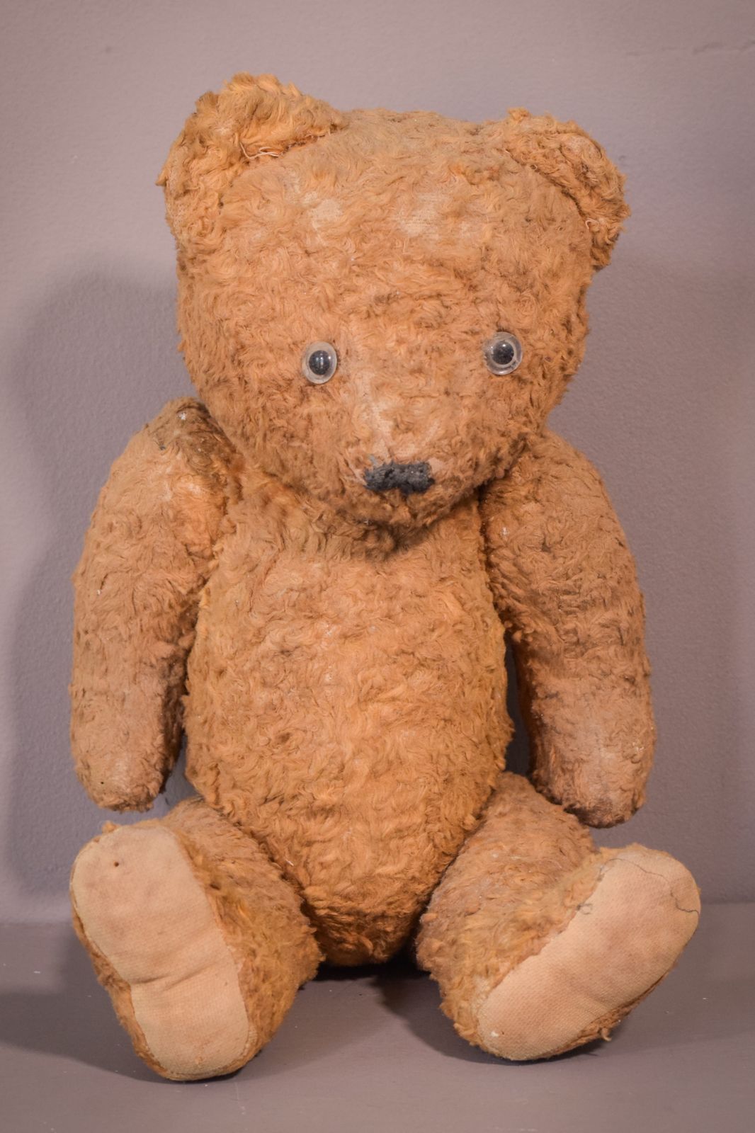 Teddy, Antique