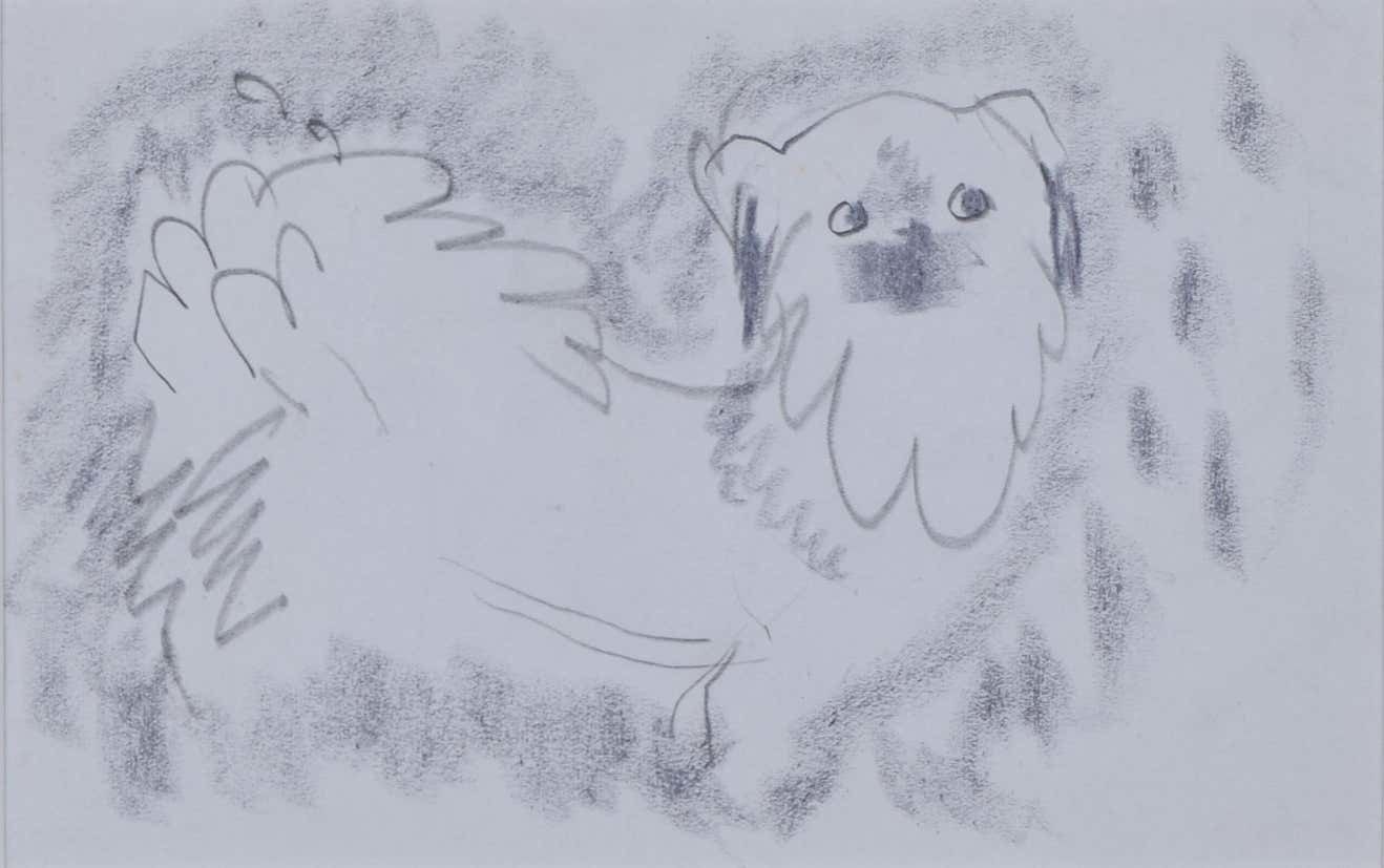Clifford Ellis 'William The Pug   Facing Right' (C.1950) Pencil Sketch photo furniture