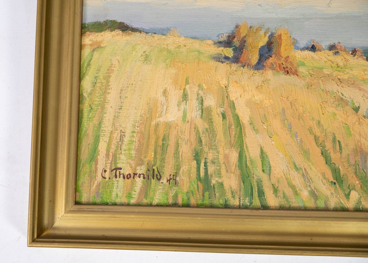 Oil Painting With Natural Motif And With Gilded Frame Signed By C. Thornild From 1944. photo furniture