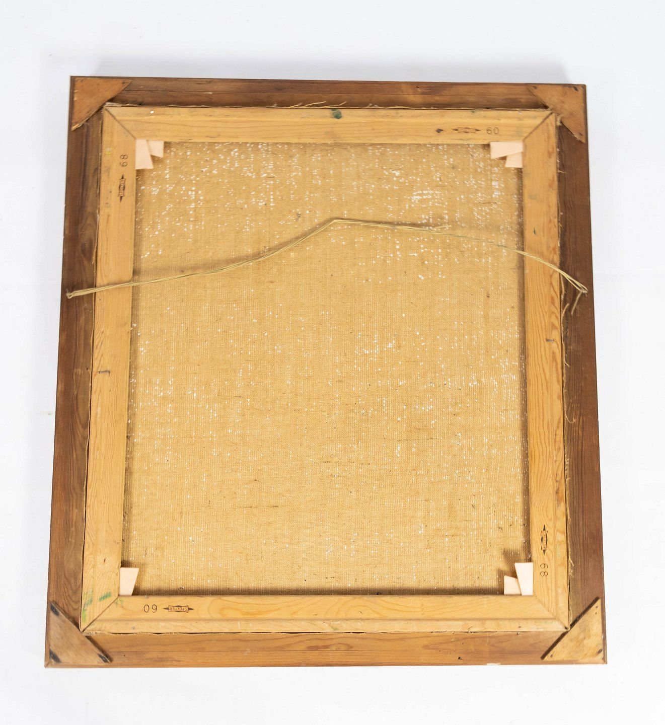 Oil Painting With Forest Motif And Gilded Frame, Without Signature From The 1940s. photo Art