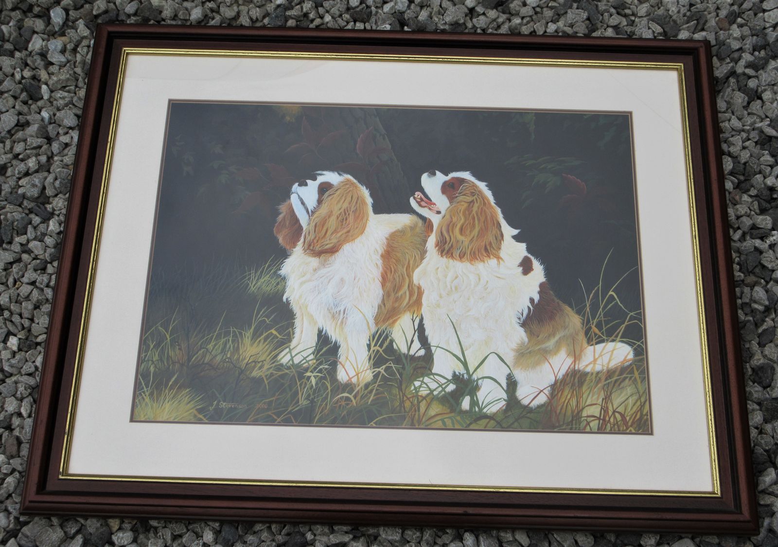 Large Acrylic On Board Painting Of Two Cavalier King Charles Spaniels By J. Stevenson Dated 2000. photo for sale
