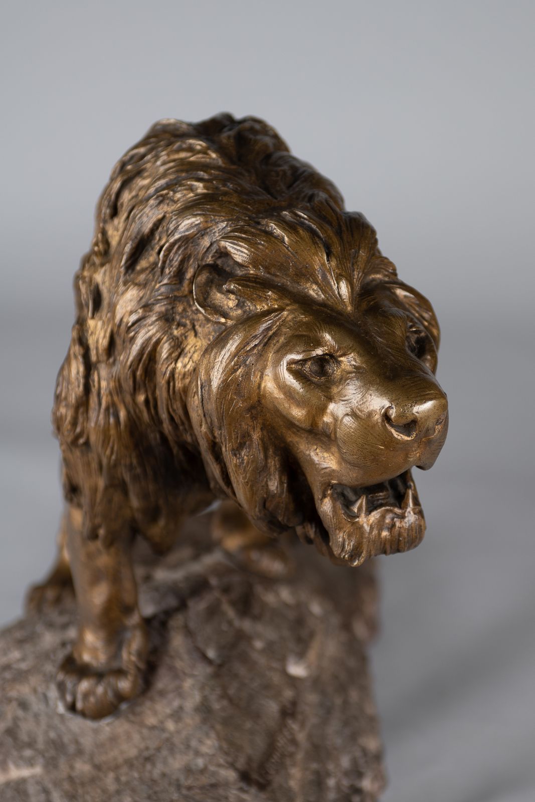 A Stunning French Large Bronze Sculpture Of A Roaring Lion Set On A Marble Base. Signed Le Courtier photo Art