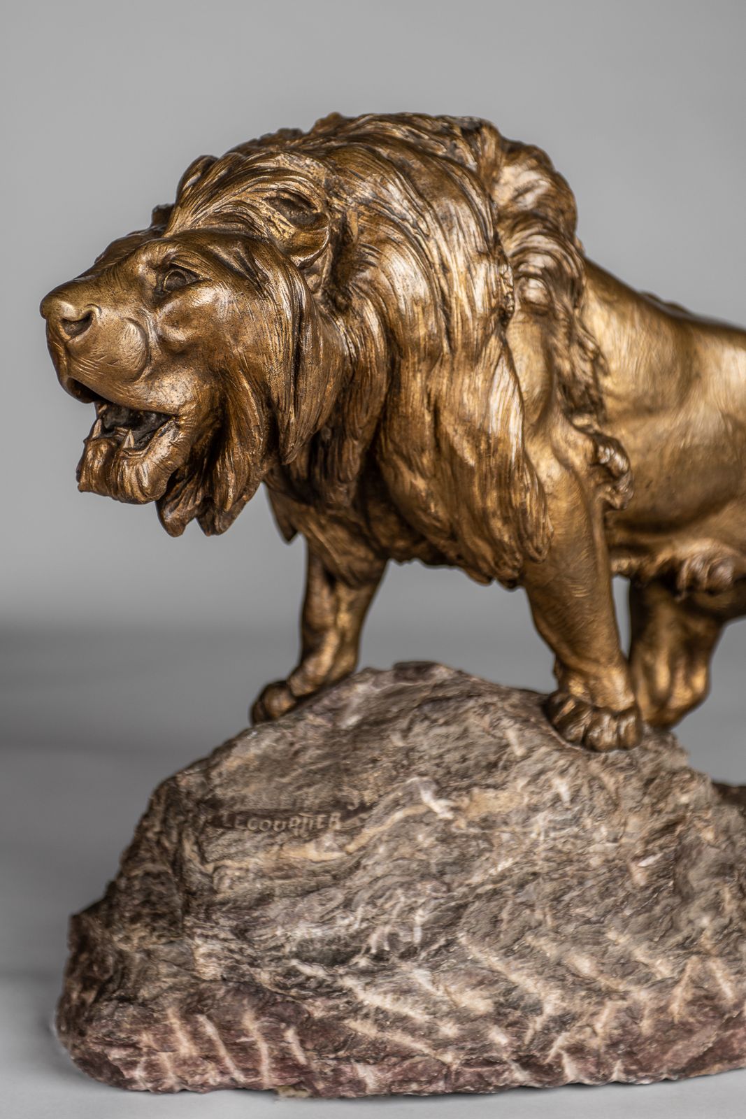 A Stunning French Large Bronze Sculpture Of A Roaring Lion Set On A Marble Base. Signed Le Courtier photo buy