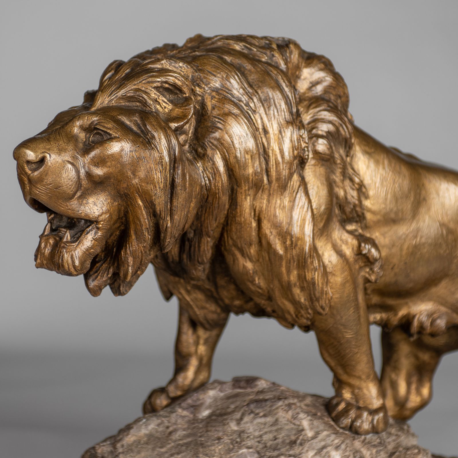 A Stunning French Large Bronze Sculpture Of A Roaring Lion Set On A Marble Base. Signed Le Courtier photo vintage