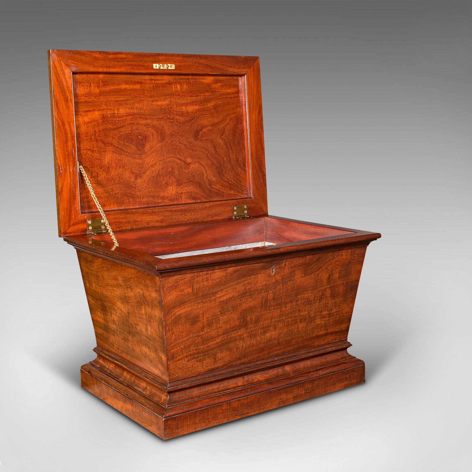 Large Antique Sarcophagus Cellarette, English, Mahogany, Wine Cooler, Regency photo vinterior