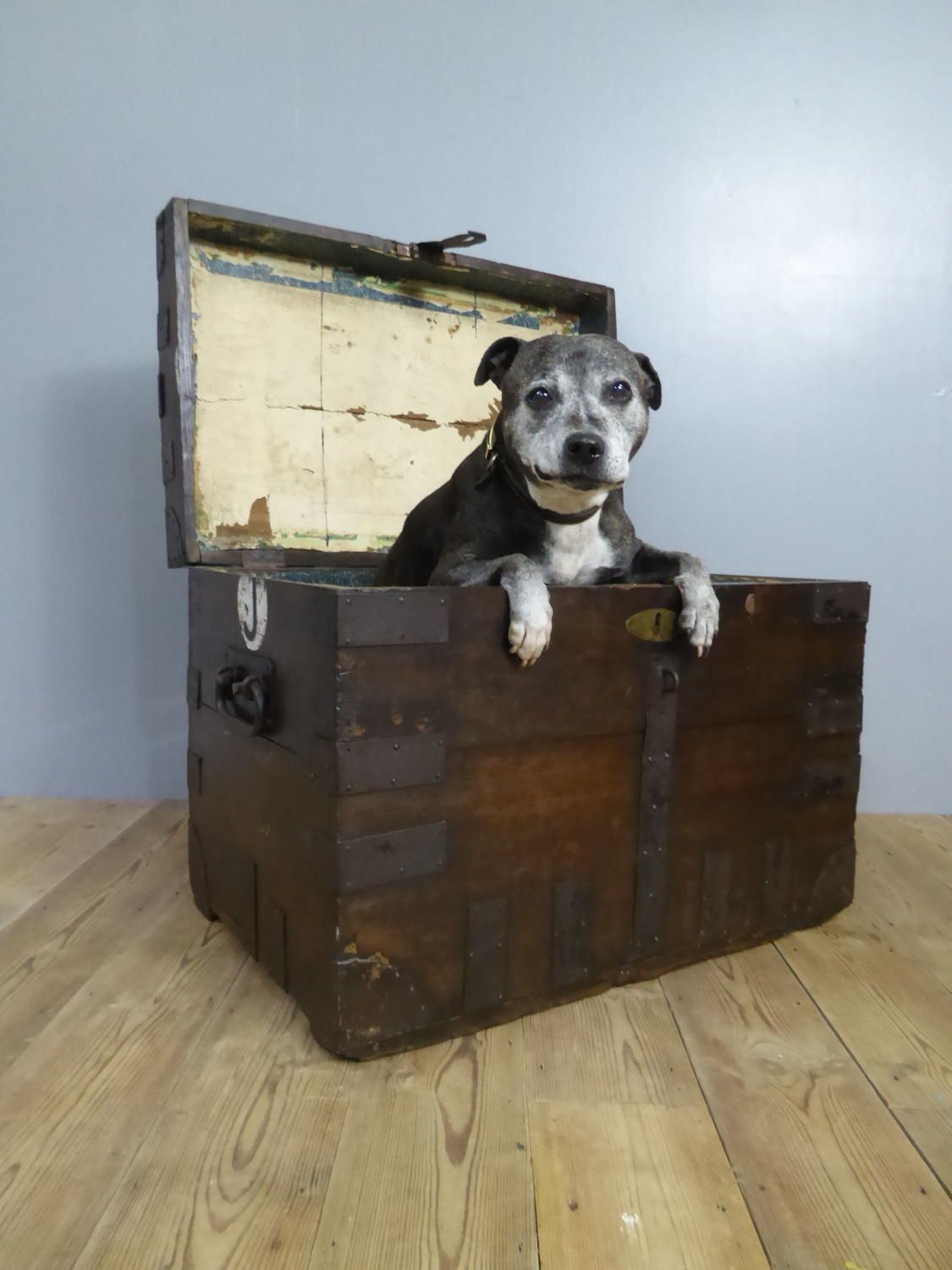 Furniture Early 19th C Banded Oak Silver Trunk photo