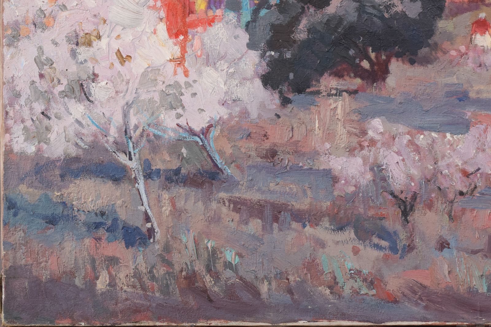 Josep Mas Pou   Almond Blossom Landscape photo for sale