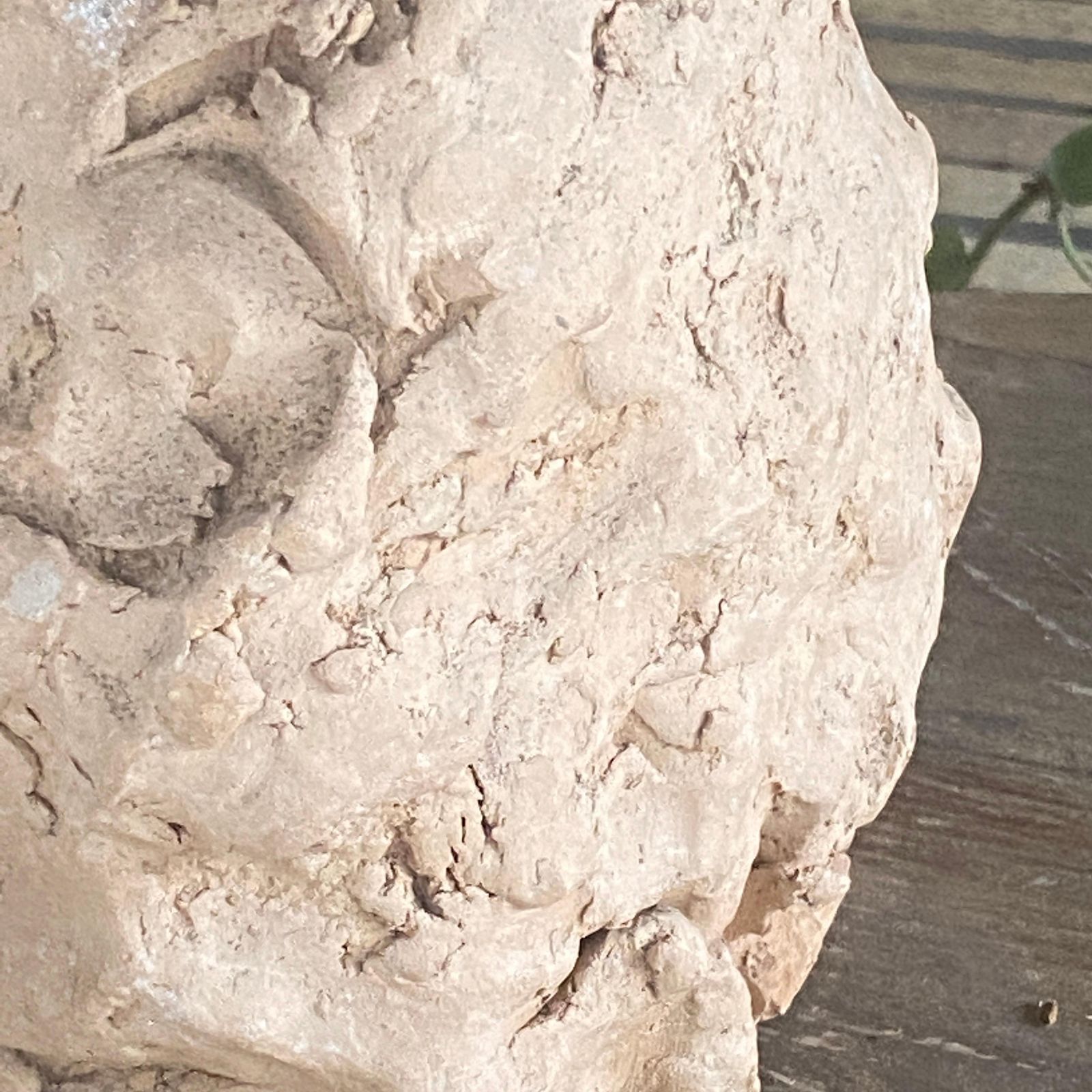 Sculpture In Terracotta, France XX Century, Representing Women Head photo for sale