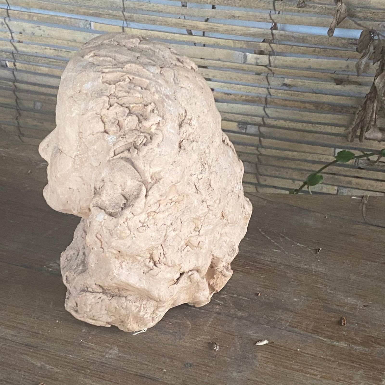 Sculpture In Terracotta, France XX Century, Representing Women Head photo vinterior