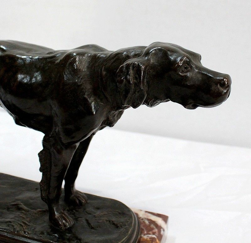 Bronze "Hunting Dog " By E. De Gaspary, Late 19th Century photo vintage