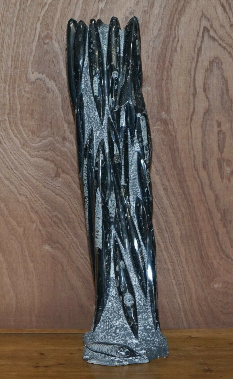 Pair Of Large 395 Million Year Old Fossilized Orthoceras Marble Finish Statues photo vintage