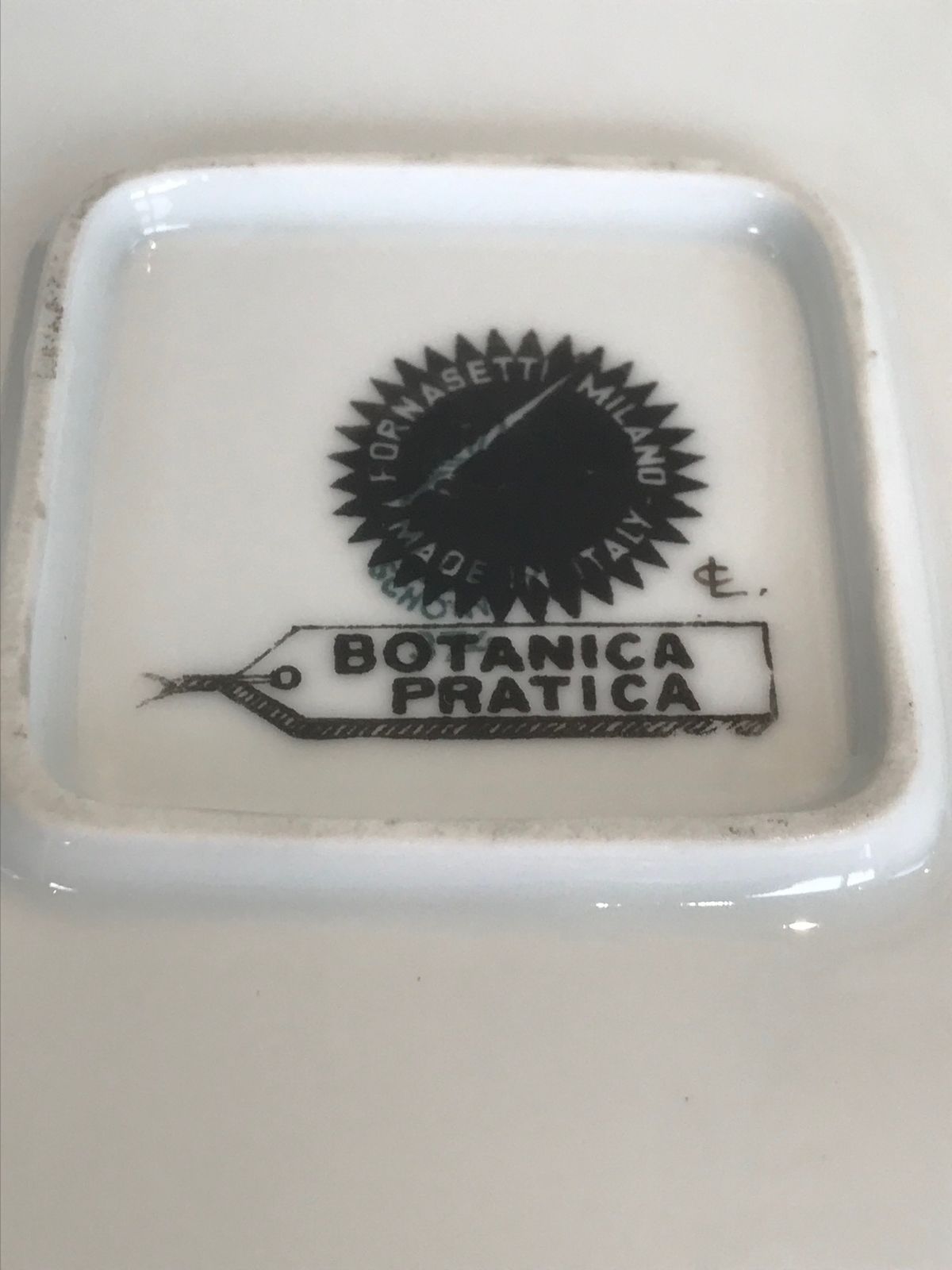 Home Decor Super Rare Mid Century Modern Piero Fornasetti Botanica Pratica Porcelain Square Serving Bowl Or Dish photo