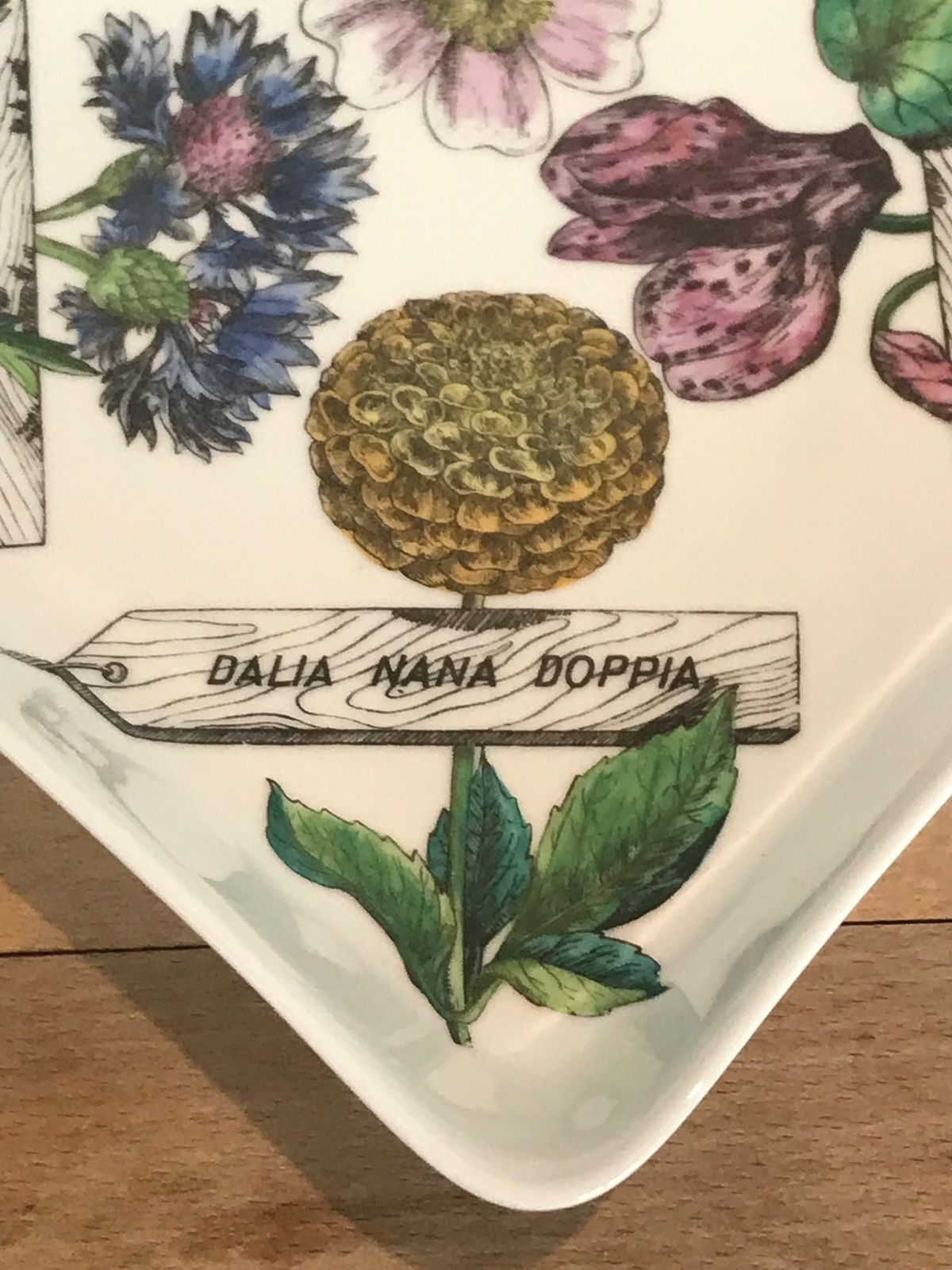 Super Rare Mid Century Modern Piero Fornasetti Botanica Pratica Porcelain Square Serving Bowl Or Dish photo 1500.0