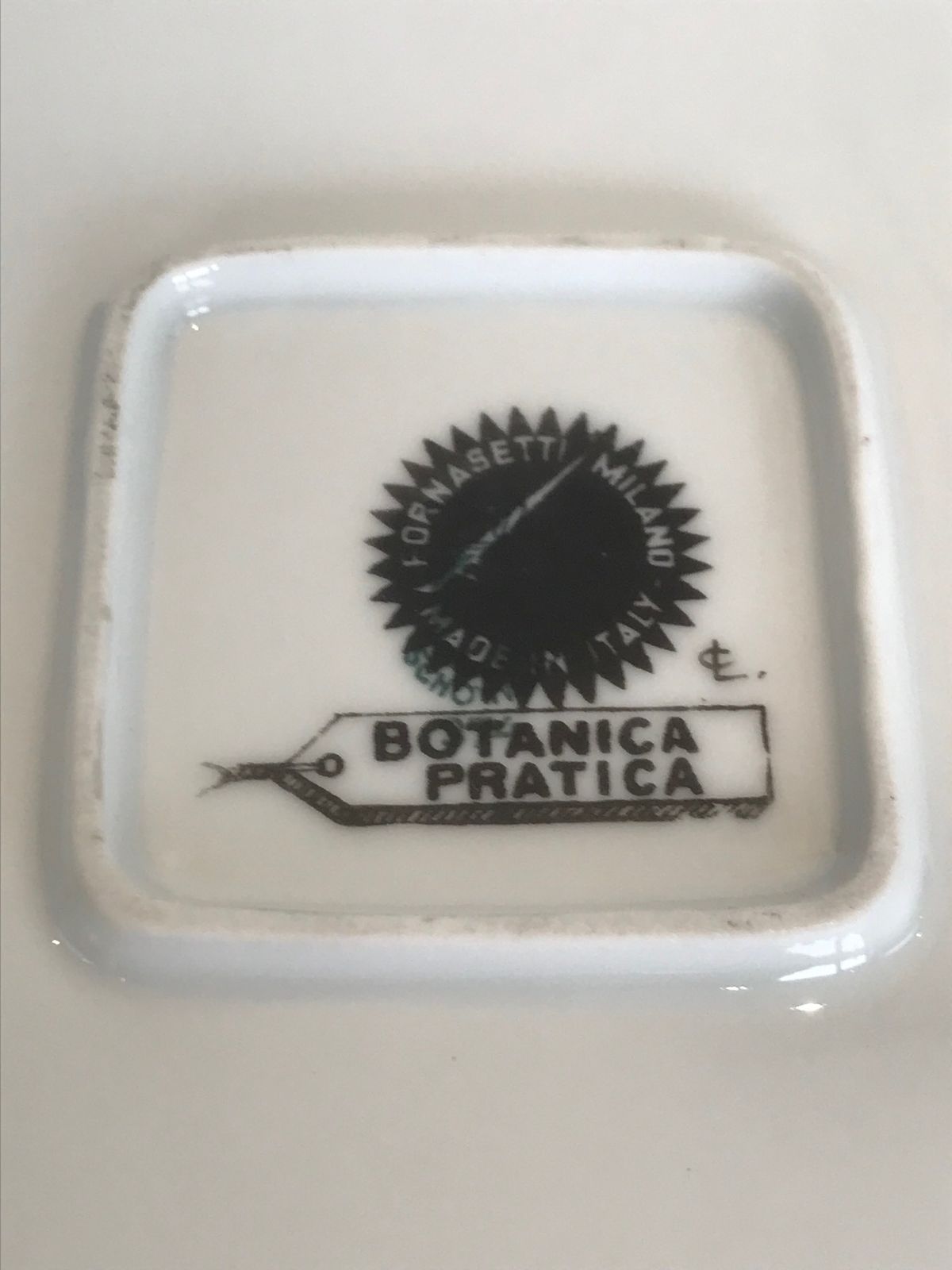 photo furniture Super Rare Mid Century Modern Piero Fornasetti Botanica Pratica Porcelain Square Serving Bowl Or Dish