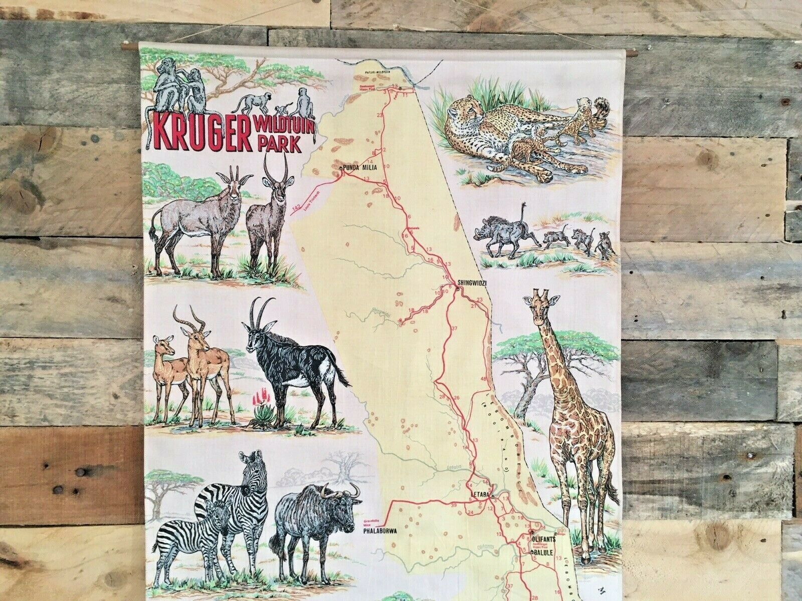 Rare 1970's Kruger Wildtuin Park Safari Map South Africa Wall Art Hanging Poster photo furniture