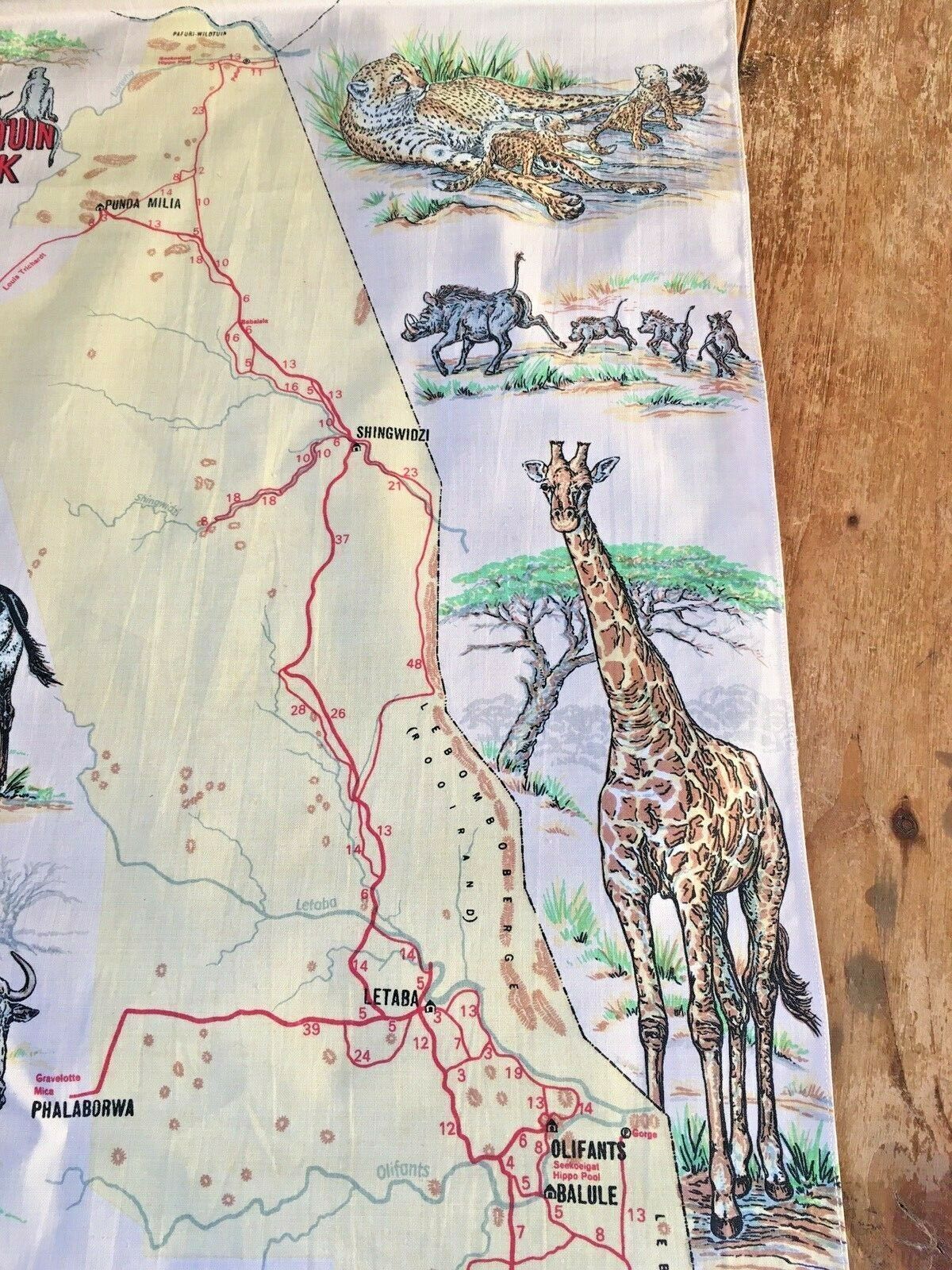Rare 1970's Kruger Wildtuin Park Safari Map South Africa Wall Art Hanging Poster photo vinterior