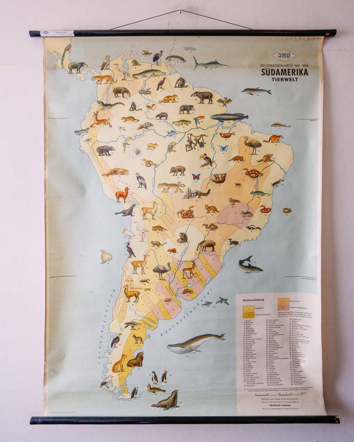 Original Vintage Mid Century German Educational School Wall Chart South America Map Land Use Wildlife Rare Jro