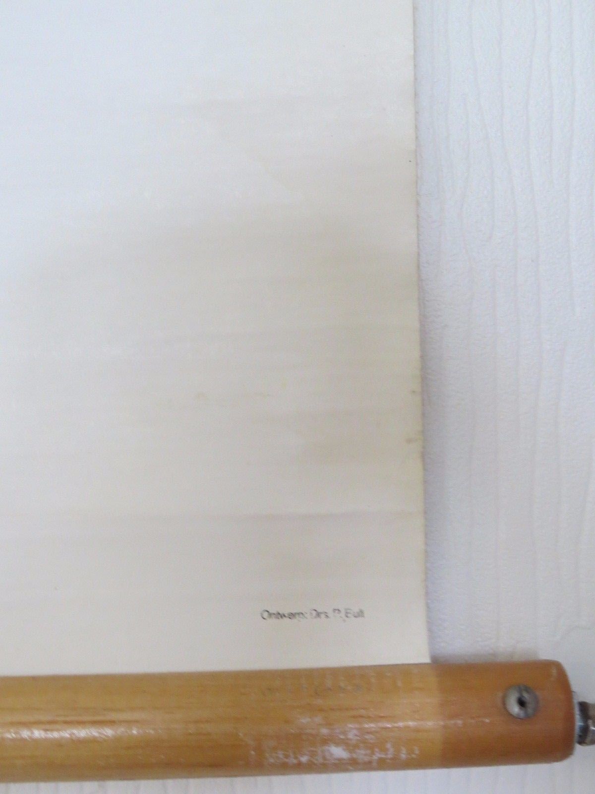 Vintage Roll Down Medical School Biochemistry Chart Of Carbohydrates Structure photo 65.0