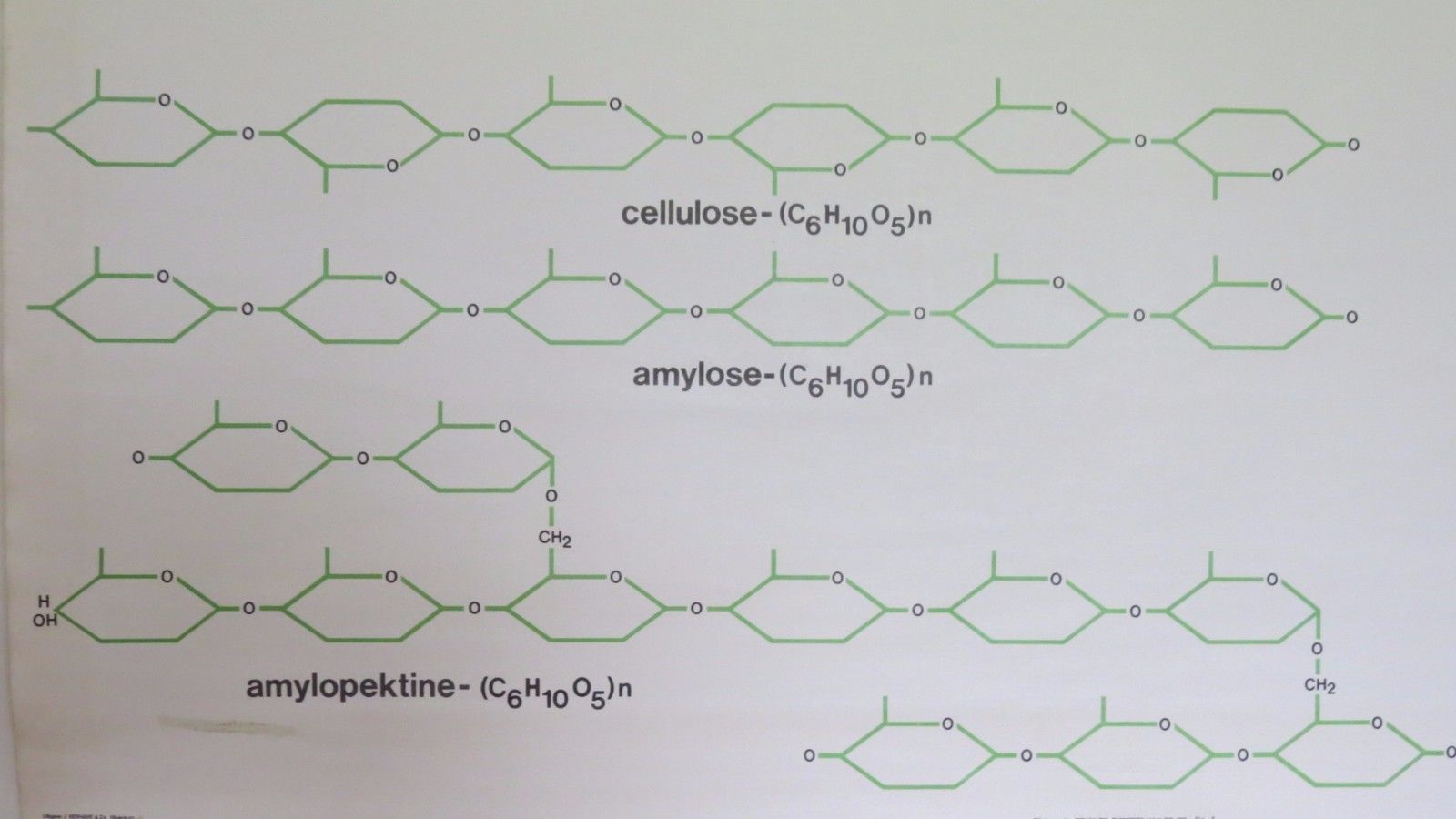 Vintage Roll Down Medical School Biochemistry Chart Of Carbohydrates Structure photo buy