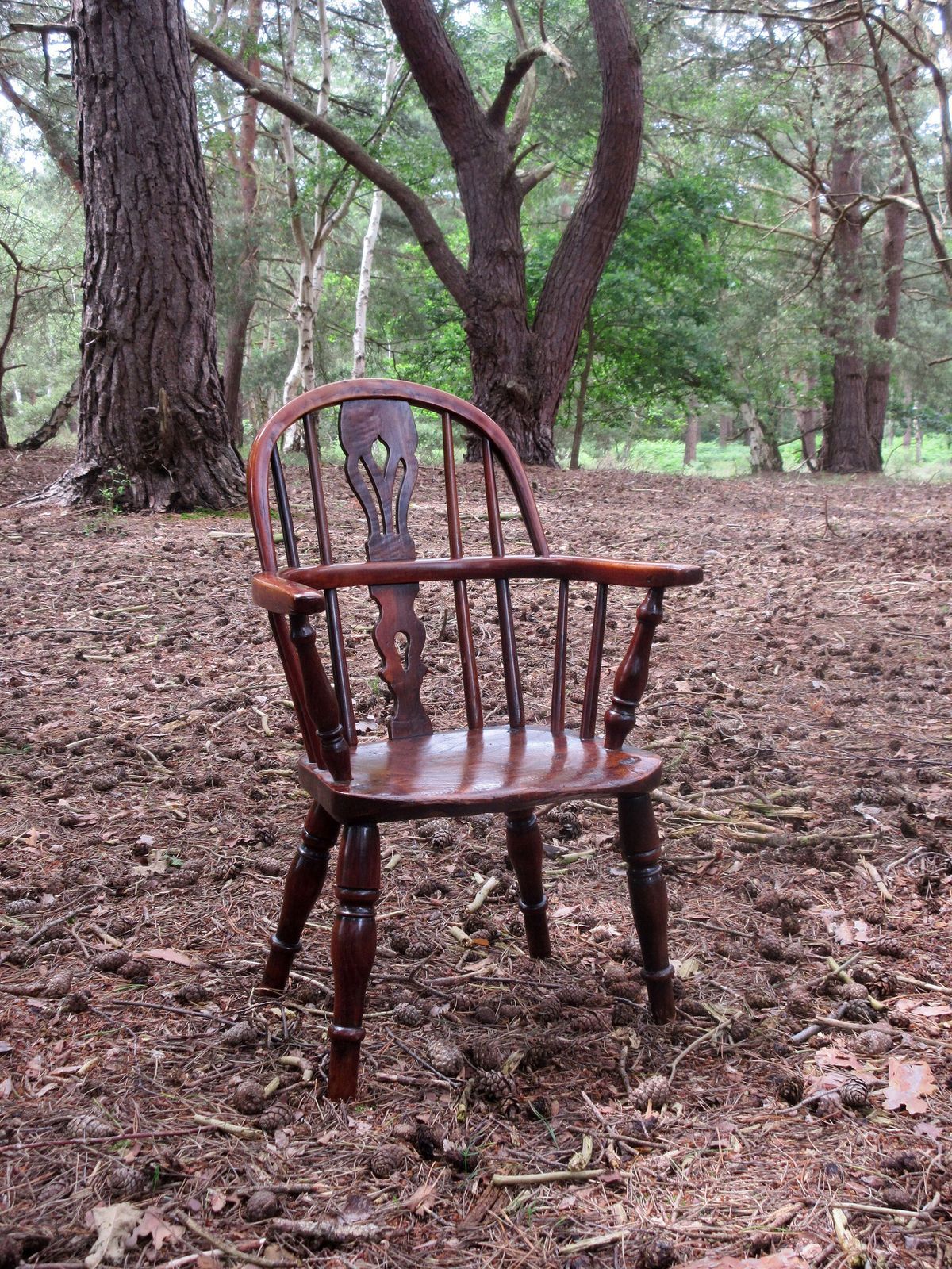 19th Century Yew Wood Childs Windsor Chair, Circa 1810   1840