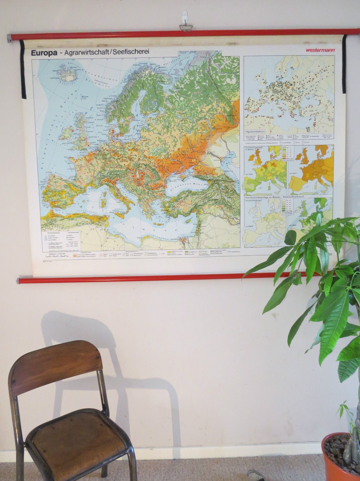 Vintage Pull Down Geographical School Wall Map Of Europe Agriculture Crops