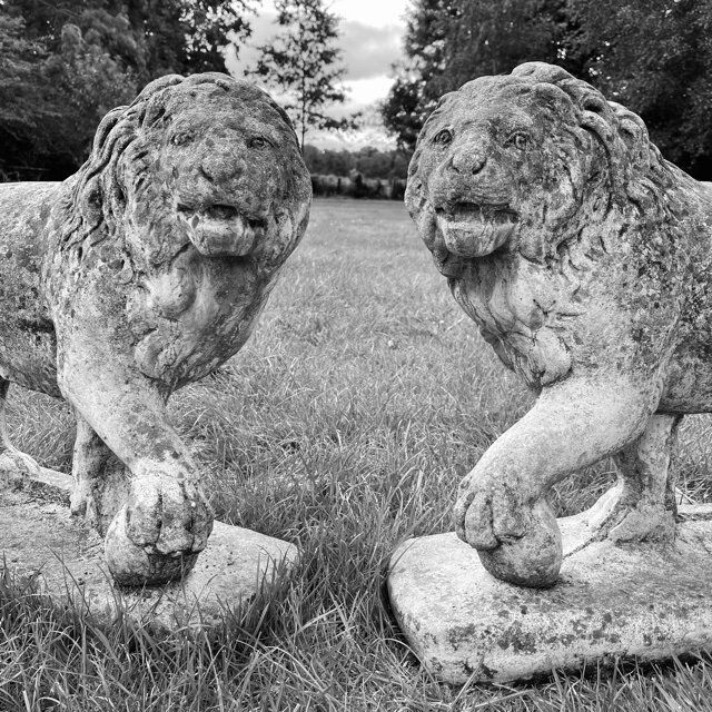 Pair Of English Large Cast Stone Medici Lions Circa 1910 photo vintage