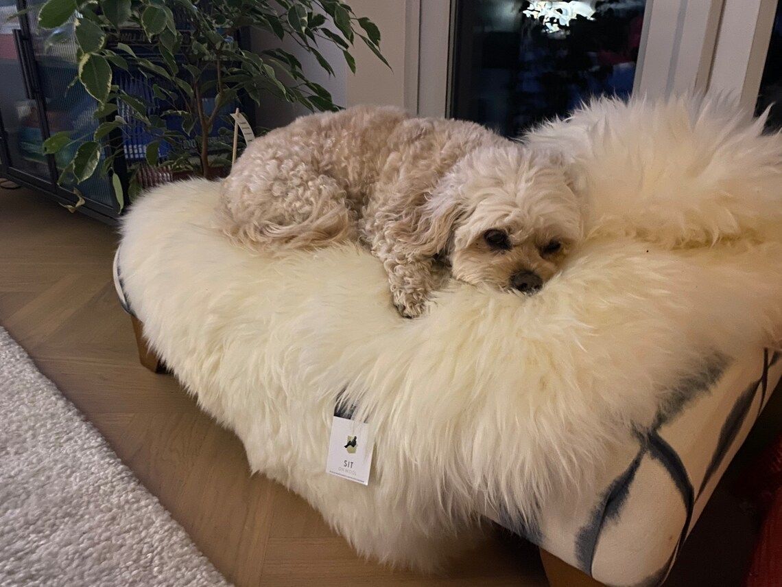 Sheepskin Dog Bed Liner  Genuine Sheepskin Rug For Your Pet  Pet Bed  Pet Bed Liner  Cat Bed Dog Bed  Dog Bed Liner