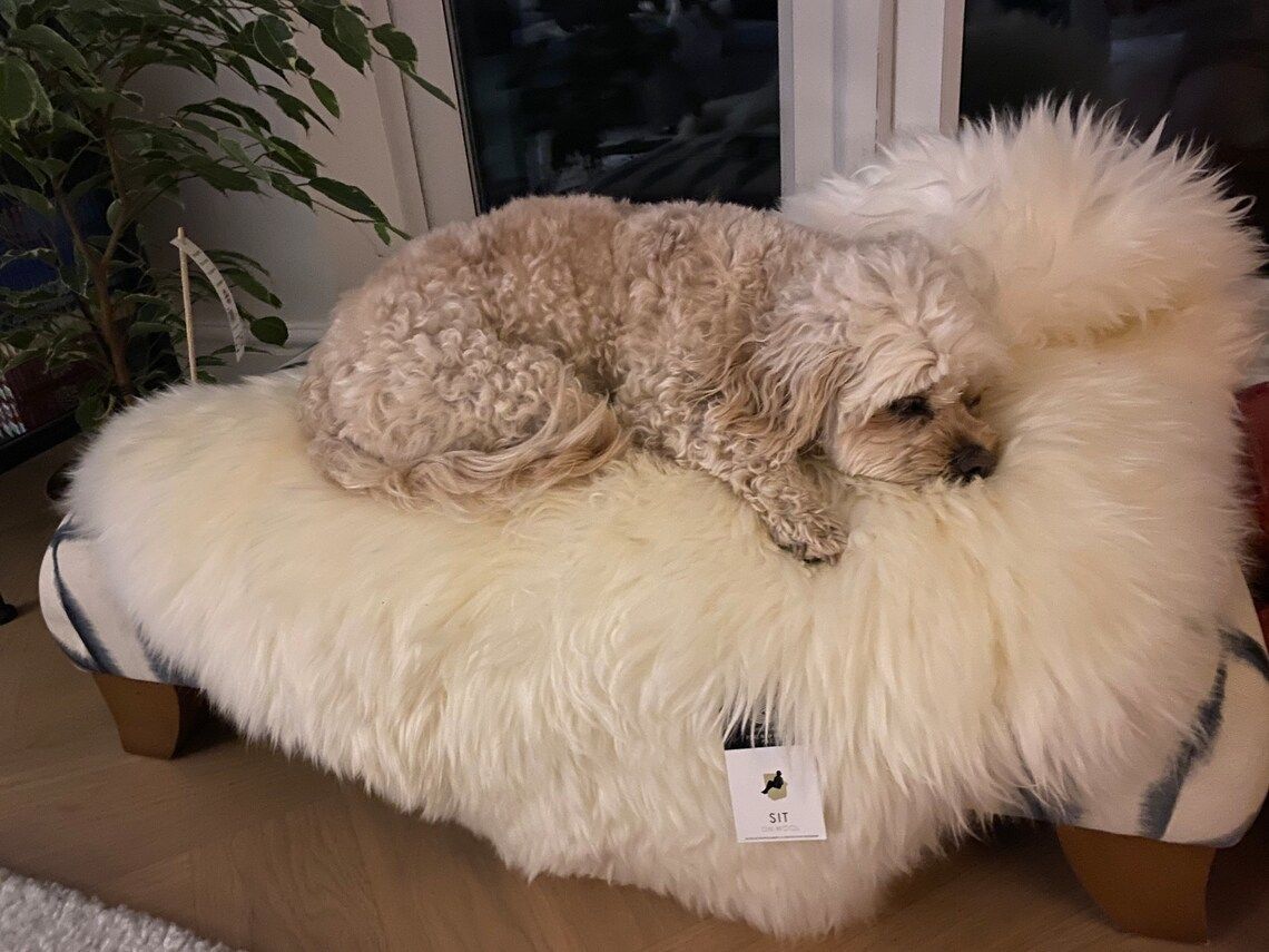 Sheepskin Dog Bed Liner  Genuine Sheepskin Rug For Your Pet  Pet Bed  Pet Bed Liner  Cat Bed Dog Bed  Dog Bed Liner photo 69.0