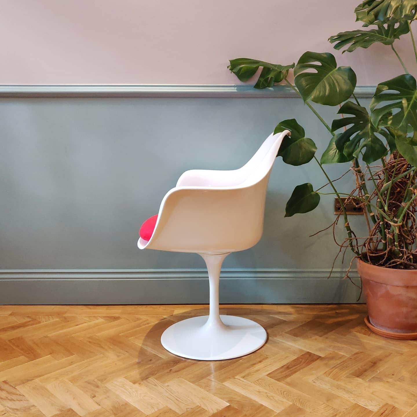 Mid 20th Century Rudi Bonzanini Tulip Chair photo 505.0