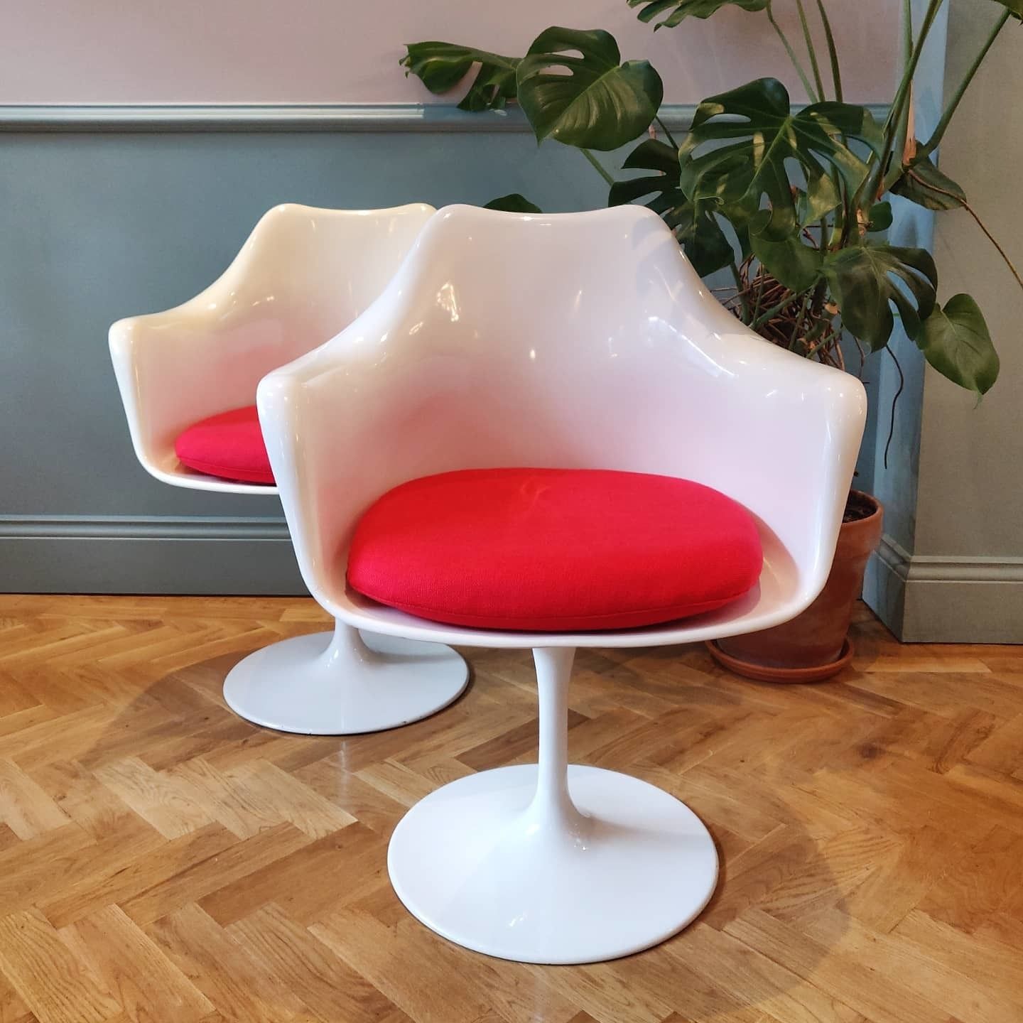 Mid 20th Century Rudi Bonzanini Tulip Chair photo buy