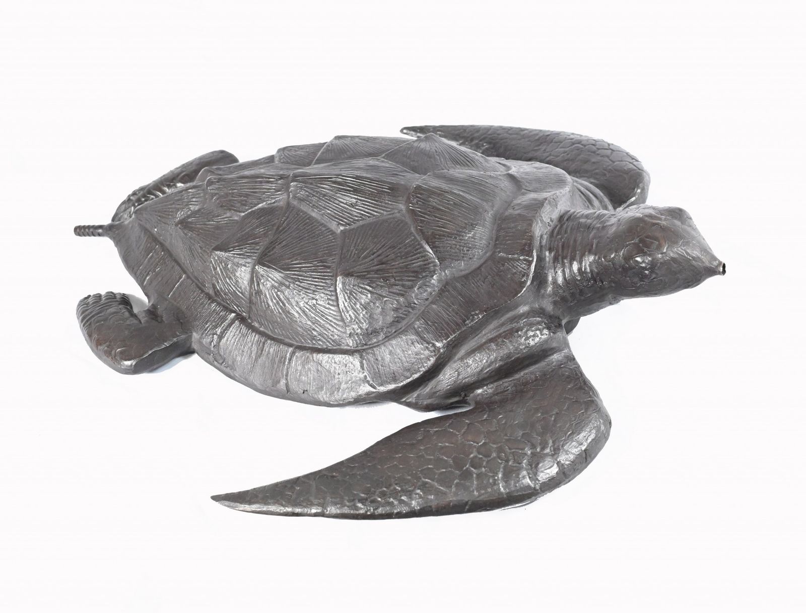 Bronze Turtle Fountain Sea Turtles Garden Pond Water Feature photo buy