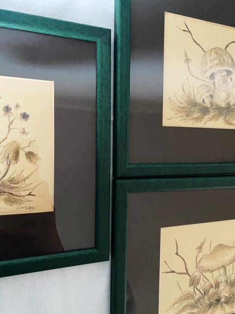 Trio Of Coloured Mushroom Drawings photo furniture